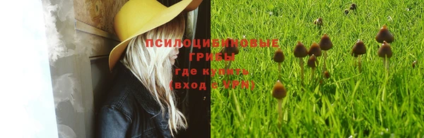мяу мяу мука Абдулино