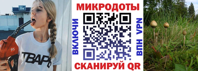 даркнет сайт  Нарьян-Мар  Псилоцибиновые грибы Cubensis 